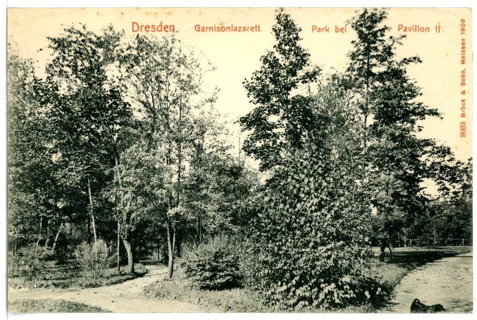 08033-Dresden-1906-Garnisonslazarett - Park bei Pavillon II-Brück & Sohn Kunstverlag