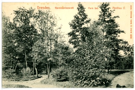 08033-Dresden-1906-Garnisonslazarett - Park bei Pavillon II-Brück & Sohn Kunstverlag