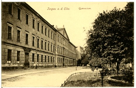 07784-Torgau-1906-Gymnasium-Brück & Sohn Kunstverlag