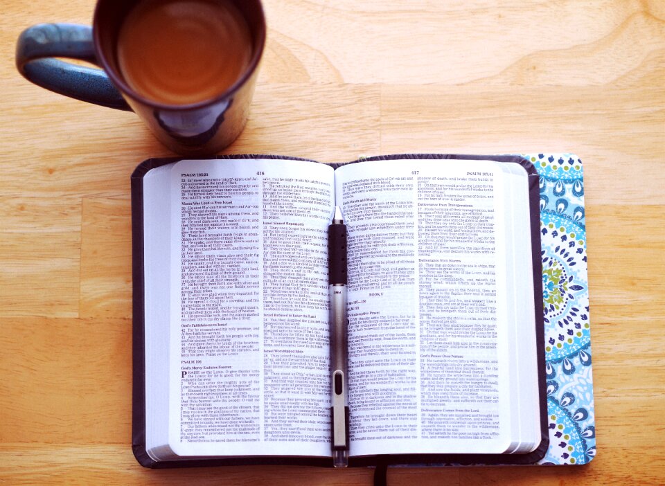 Reading study learning