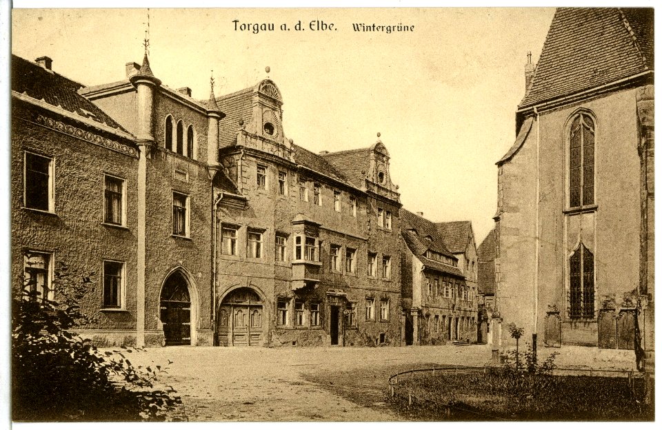 07774-Torgau-1906-Wintergrüne-Brück & Sohn Kunstverlag