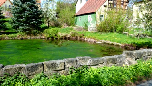 Grundmuehlenstraße Teich Graupa Pirna 2