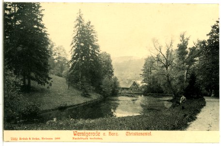 07562-Wernigerode-1906-Christianental-Brück & Sohn Kunstverlag