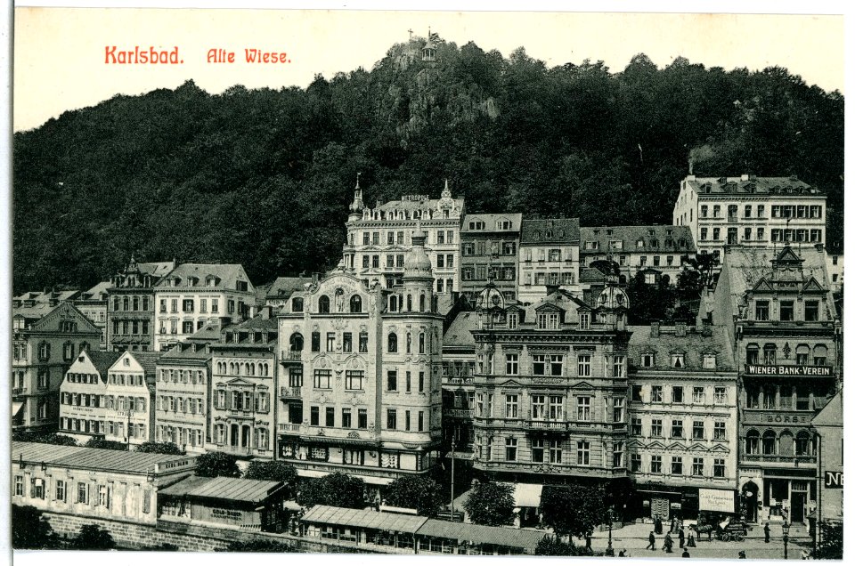 07583-Karlsbad-1906-Alte Wiese-Brück & Sohn Kunstverlag