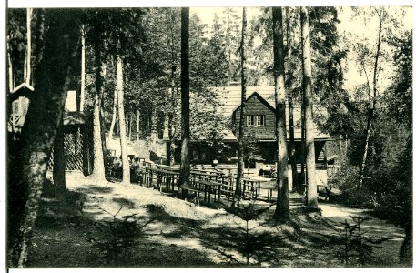 07417-Schwarzenberg-1906-Köhlerhütte am Fürstenbrunn-Brück & Sohn Kunstverlag