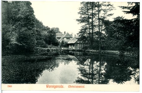 07563-Wernigerode-1906-Christianental-Brück & Sohn Kunstverlag