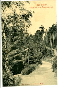 07693-Bad Elster-1906-Brunnenberg-Brück & Sohn Kunstverlag