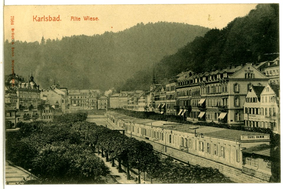 07584-Karlsbad-1906-Alte Wiese-Brück & Sohn Kunstverlag