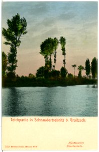 07152-Groitzsch-1906-Teich in Schnaudertrebnitz-Brück & Sohn Kunstverlag