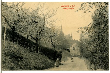 07227-Leisnig-1906-Schloßstraße-Brück & Sohn Kunstverlag