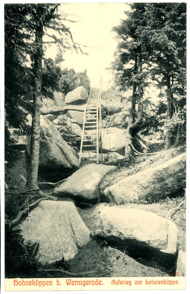 07567-Wernigerode-1906-Hohneklippen, Aufstieg zur Leistenklippe-Brück & Sohn Kunstverlag