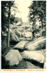 07567-Wernigerode-1906-Hohneklippen, Aufstieg zur Leistenklippe-Brück & Sohn Kunstverlag