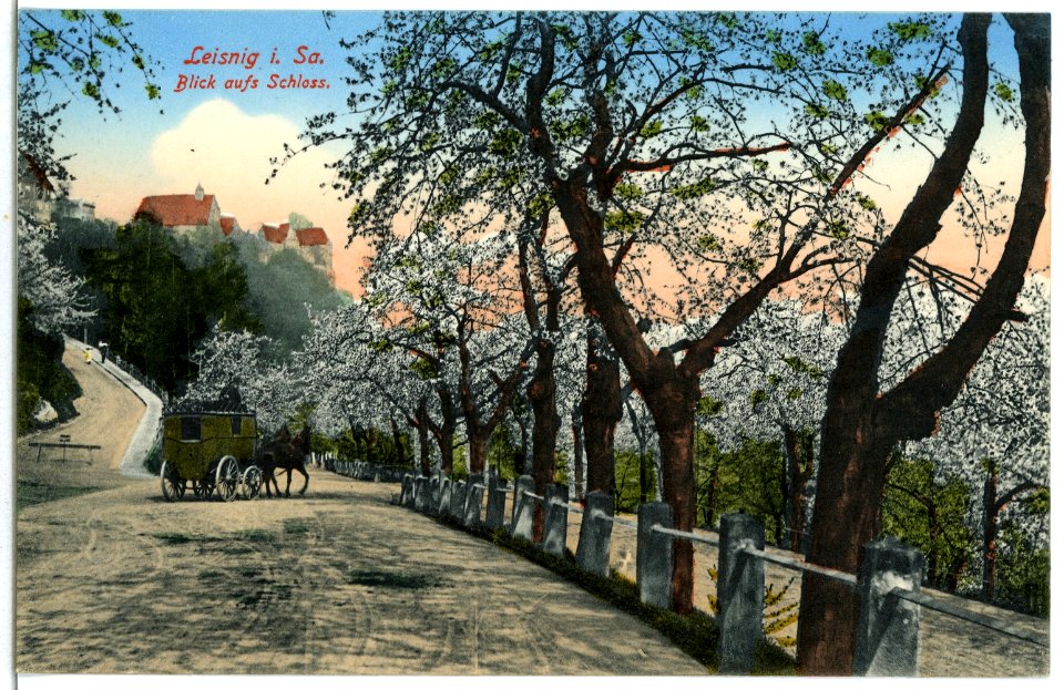 07228-Leisnig-1906-Blick aufs Schloß mit Postkutsche-Brück & Sohn Kunstverlag