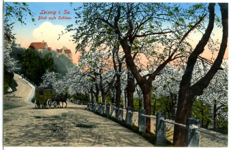 07228-Leisnig-1906-Blick aufs Schloß mit Postkutsche-Brück & Sohn Kunstverlag