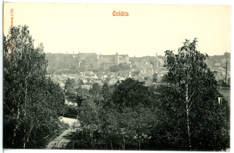 07277-Colditz-1906-Blick auf die Stadt-Brück & Sohn Kunstverlag