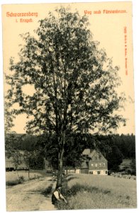 07663-Schwarzenberg-1906-Weg nach Fürstenbrunn-Brück & Sohn Kunstverlag