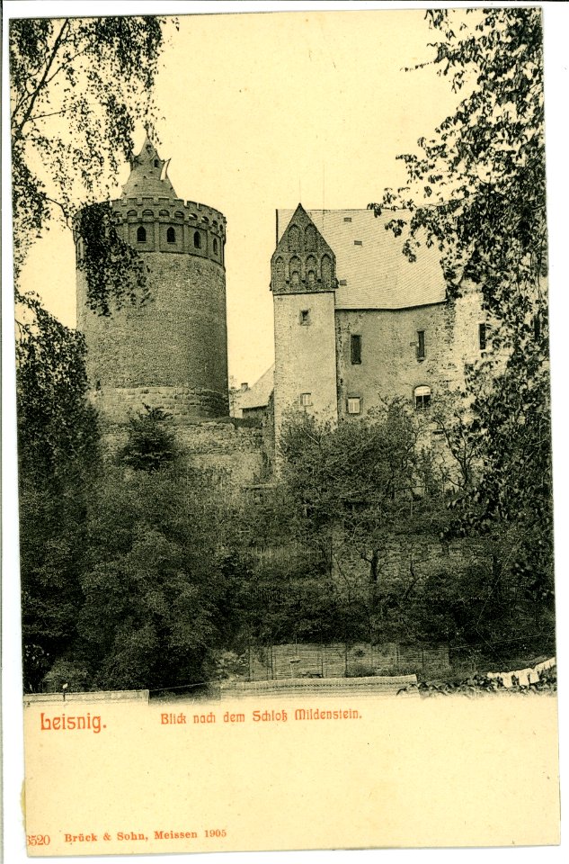 06520-Leisnig-1905-Blick zum Schloß Mildenstein-Brück & Sohn Kunstverlag