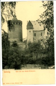 06520-Leisnig-1905-Blick zum Schloß Mildenstein-Brück & Sohn Kunstverlag
