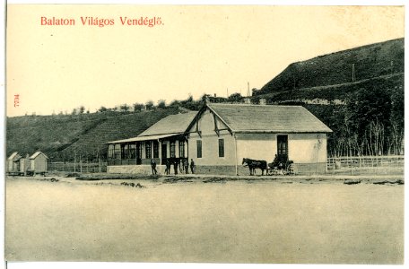07704-Balaton-Vilagos-1906-Vendeglö-Brück & Sohn Kunstverlag