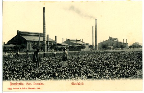 07851-Brockwitz-1906-Glasfabrik-Brück & Sohn Kunstverlag