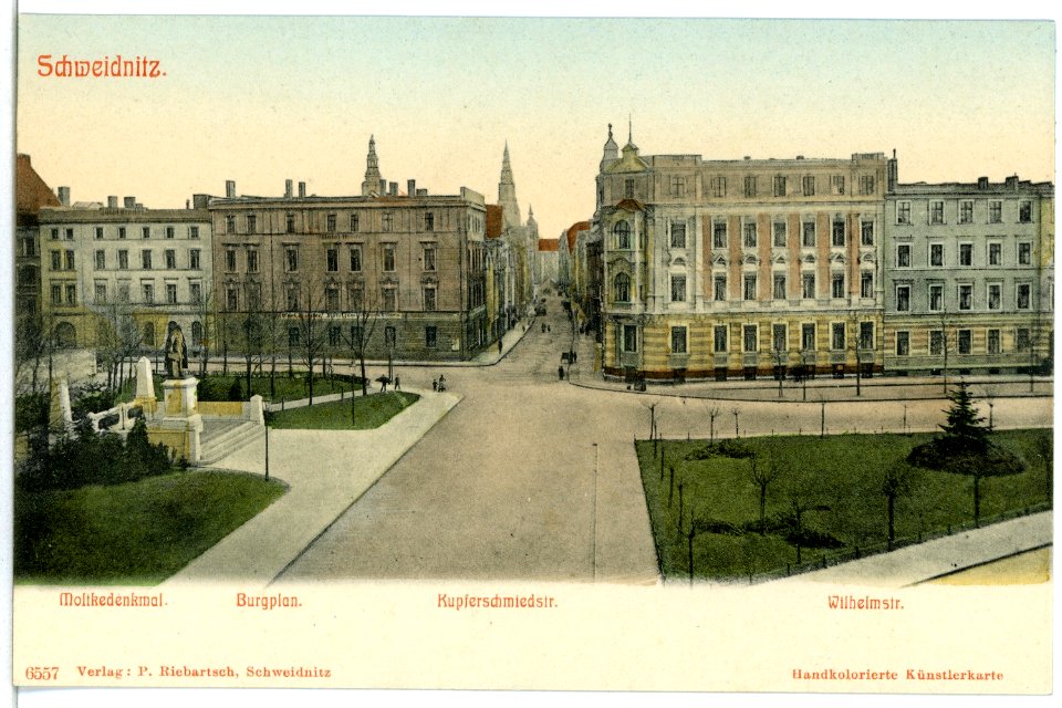 06557-Schweidnitz-1905-Moltkedenkmal, Burgplan, Kupferschmiedstr-Brück & Sohn Kunstverlag