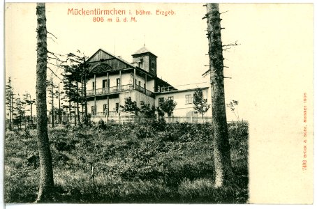 07492-Mückenberg-1906-Mückentürmchen-Brück & Sohn Kunstverlag