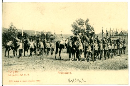 07623-Torgau-1906-Thüringisches Husaren-Regiment Nr. 12 - Abgesessen-Brück & Sohn Kunstverlag
