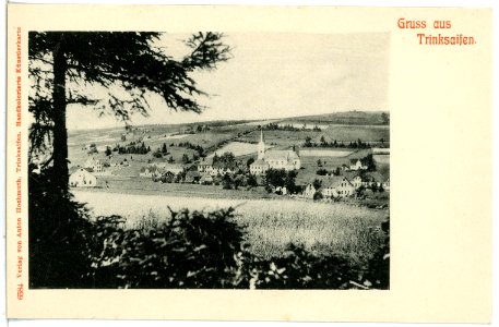 06584-Trinksaifen-1905-Blick auf den Ort-Brück & Sohn Kunstverlag