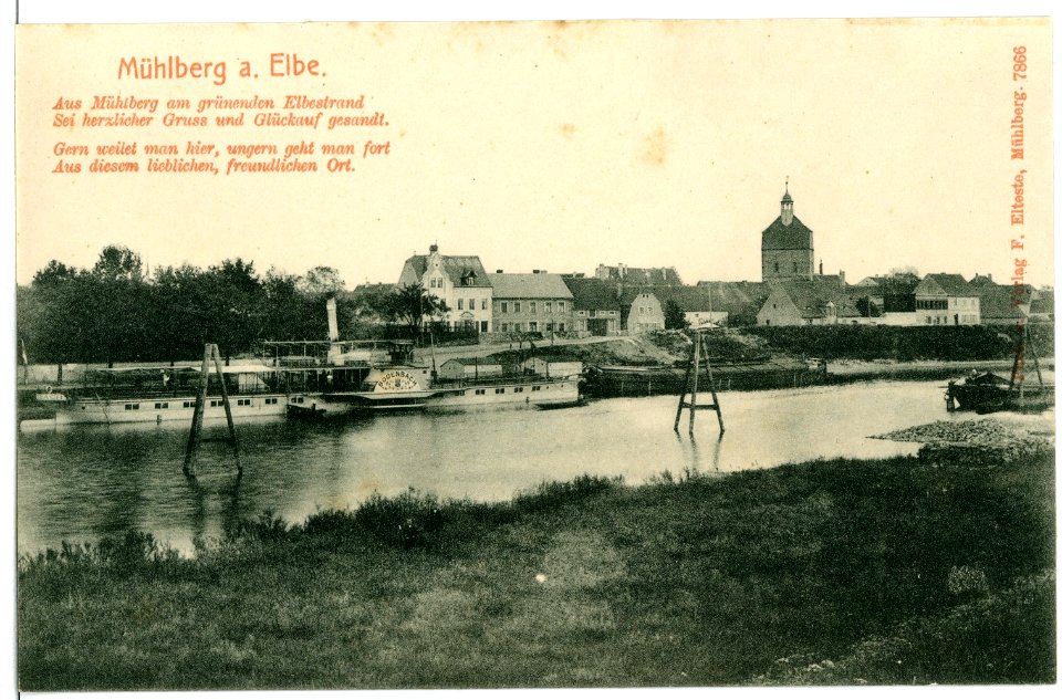 07866-Mühlberg-1906-Stadtansicht, Elbe mit Dampfer Bodenbach-Brück & Sohn Kunstverlag