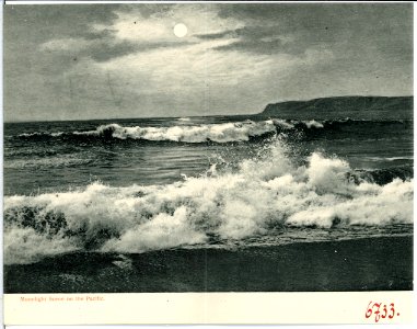 06733--1905-Moonlight Scene on the Pacific-Brück & Sohn Kunstverlag photo