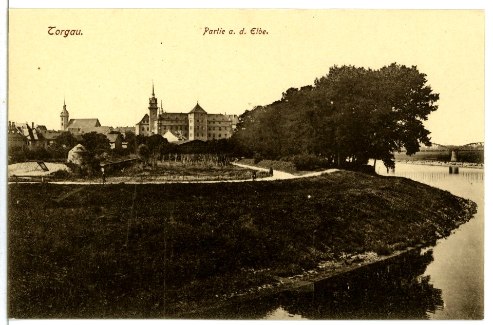 07778-Torgau-1906-Blick zum Schloß-Brück & Sohn Kunstverlag