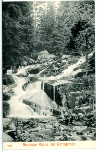 07573-Wernigerode-1906-Waldmotiv Steinerne Renne-Brück & Sohn Kunstverlag