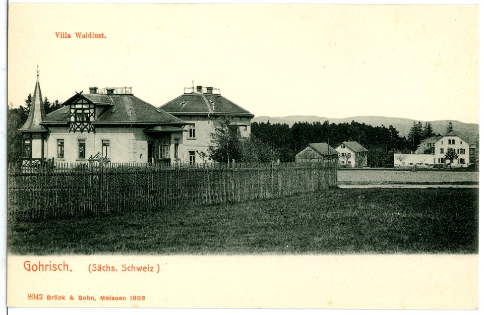 08042-Gohrisch-1906-Villa Waldlust-Brück & Sohn Kunstverlag