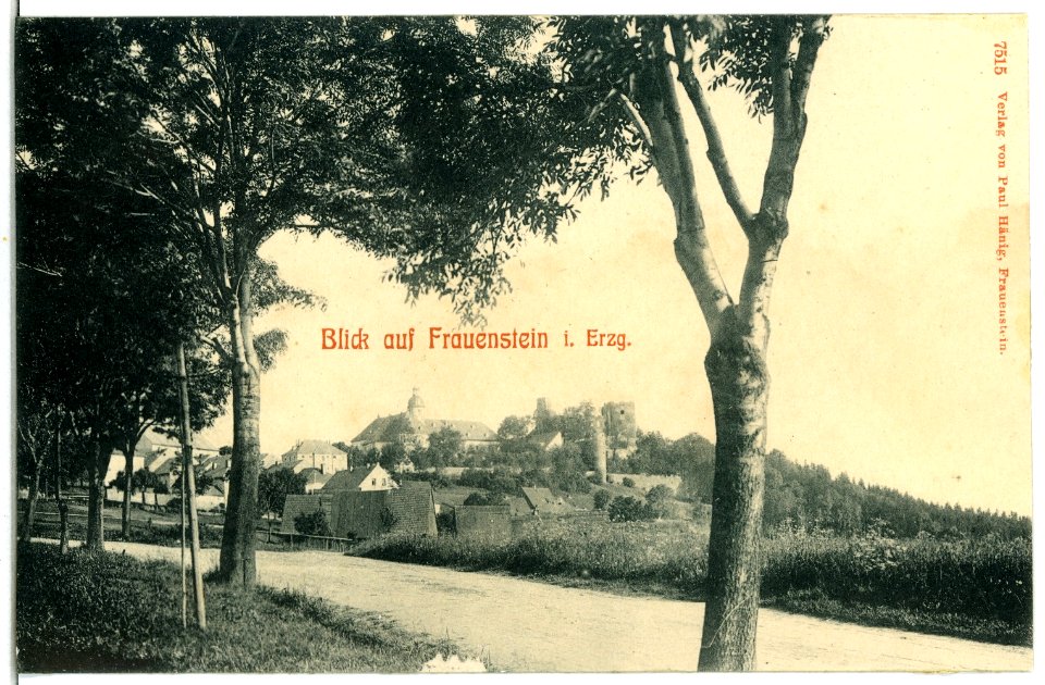 07515-Frauenstein-1906-Blick auf Frauenstein-Brück & Sohn Kunstverlag