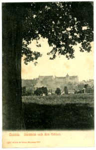 07287-Colditz-1906-Durchblick nach dem Schloß-Brück & Sohn Kunstverlag