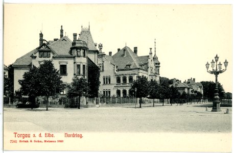 07761-Torgau-1906-Nordring-Brück & Sohn Kunstverlag