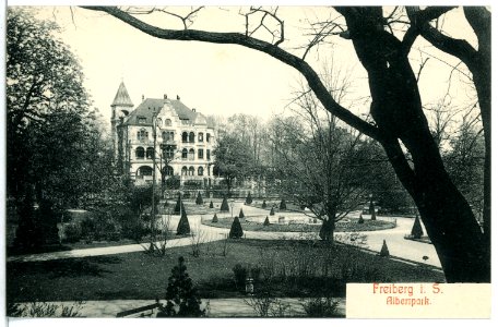 07718-Freiberg-1906-Albertpark-Brück & Sohn Kunstverlag