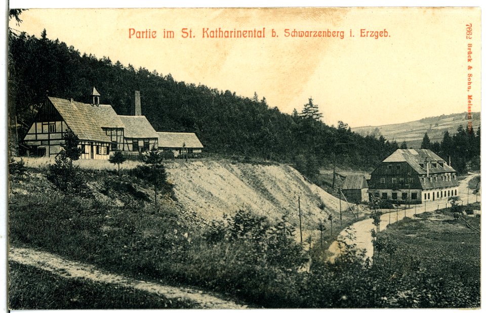 07662-Schwarzenberg-1906-Im St. Katharinental-Brück & Sohn Kunstverlag