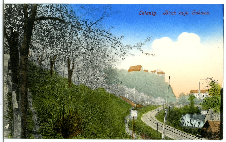 07229-Leisnig-1906-Blick auf Schloß-Brück & Sohn Kunstverlag