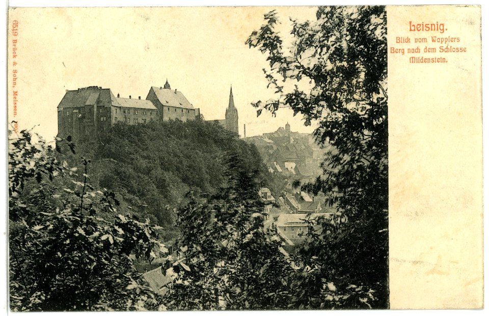 06519-Leisnig-1905-Blick vom Wapplers Berg nach dem Schloß Mildenstein-Brück & Sohn Kunstverlag