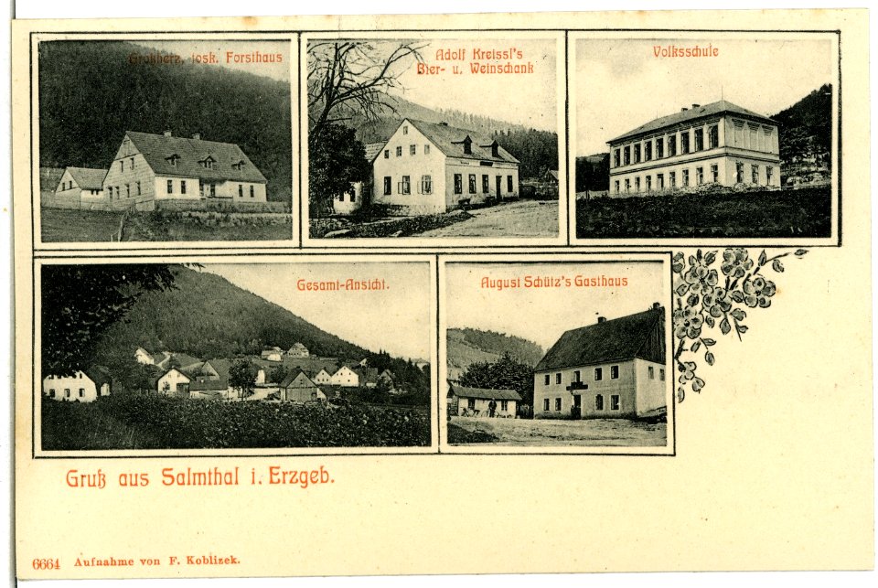 06664-Pstruží u Merklína (ehemals) Salmthal-1905-verschiedene Ortsansichten-Brück & Sohn Kunstverlag