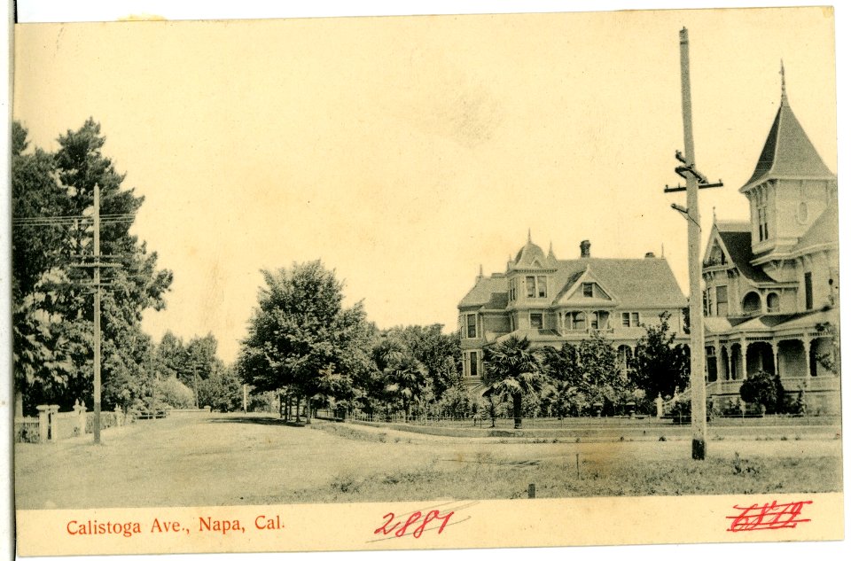 06819-Napa-1905-Calistoga Ave.-Brück & Sohn Kunstverlag