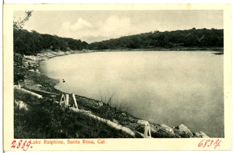06837-Santa Rosa-1905-Lake Ralphine-Brück & Sohn Kunstverlag