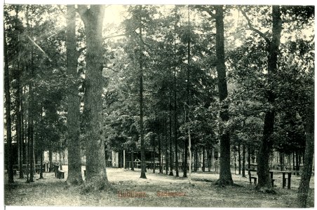 07210-Lublinitz-1906-Sedanplatz-Brück & Sohn Kunstverlag
