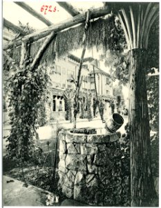 06728--1905--Brück & Sohn Kunstverlag