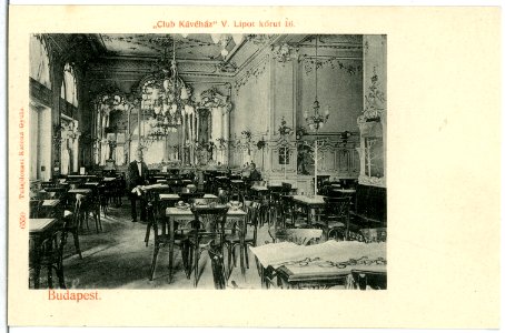 06550-Budapest-1905-"Club Kavehaz" V. Lipot korut 16-Brück & Sohn Kunstverlag
