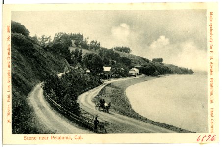 06826-Petaluma-1905-Scene near Petaluma-Brück & Sohn Kunstverlag