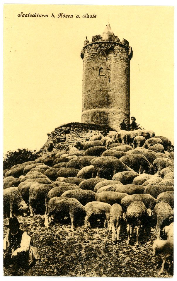 07137-Saaleck-1906-Saaleckturm-Brück & Sohn Kunstverlag