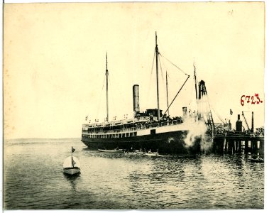 06723--1905--Brück & Sohn Kunstverlag
