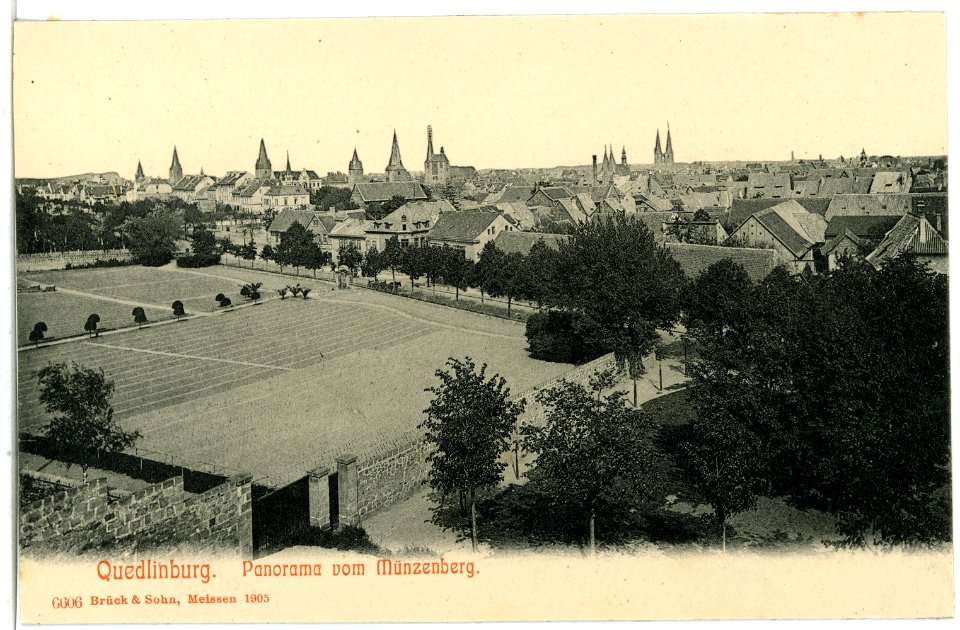 06606-Quedlinburg-1905-Panorama vom Münzenberg-Brück & Sohn Kunstverlag